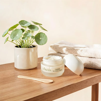 skin barrier repair moisturizer lightweight
